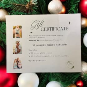 Liina Robinson Photography - 30 min photo session item