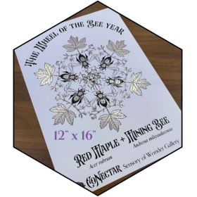 Nature Sensory Class Sponsor item