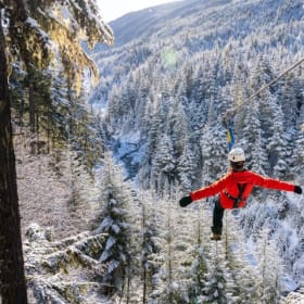 Ziptrek Ecotours: 2x Adult Eagle Tour ($420) item