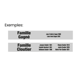 Brique familiale item