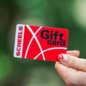 Item 6: Scheels $200 Shopping Spree item