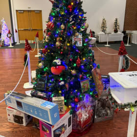 Tree 08 - STS Aviation Group item