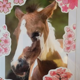 Handmade Greeting cards - set of 10 item