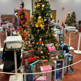 Tree 17 - Dama Construction item