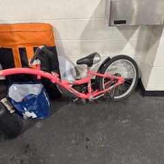 Tag Along Kids Bike Attachment item