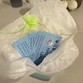 Six free scoop Wild Scoops item