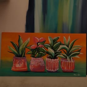 Plantes et couleurs en pot item