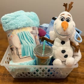 Item 21: Frozen Friend Fun Basket item