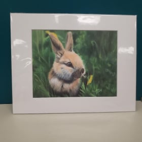 Portrait lapin (pastel sec) item