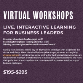 ZingTRAIN Virtual Workshop Seat item
