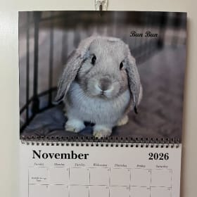2026 Rescue Bunny Calendar item