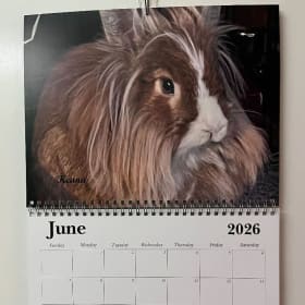 2026 Rescue Bunny Calendar item
