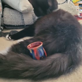 Ceramic Whisker Vase item