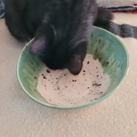 Ceramic Glazed Bowl item