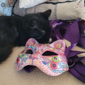 Painted Cat Mask item