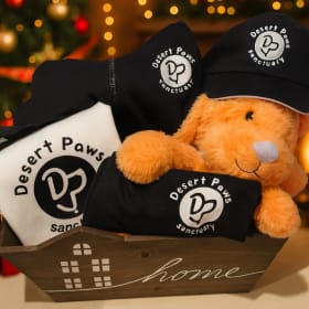 DPS Exclusive Merch Bundle! item