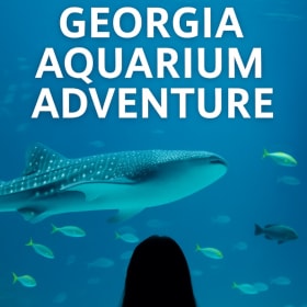 Georgia Aquarium - Two Tickets item