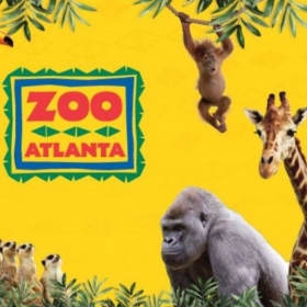 Four Zoo Atlanta Tickets item