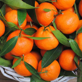 Locally grown mandarins item