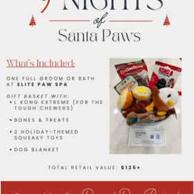 DDP Auction: DOG SPA & BASKET - 9 Nights of Santa Paws - Day item