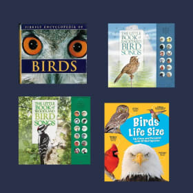 The Cozy Reader item