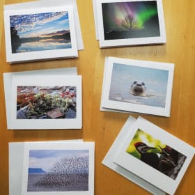 Sharing Nature Together greeting cards - pack 1 item