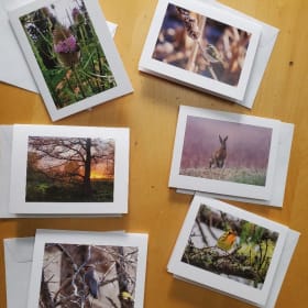 Sharing Nature Together greeting cards - pack 2 item