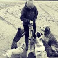 MOUNTAIN ASH  $250 voucher for Dog Boarding + dog swag item