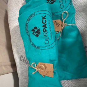 Teal - Only Here for the Dogs Tee item