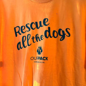 Yellow w/ green lettering Rescue all the dogs tee item
