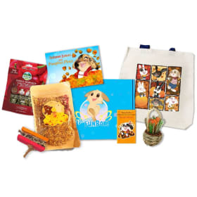 BunnyFunBox Autumn Leaves and Pumpkin Please Deluxe Box item