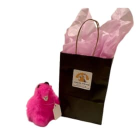 PacaVisit Passes to Carolina Sunshine Alpaca Farm (4 passes) item