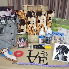 Goodie Bag For Your Four-Legged Friend! Value:$40 item