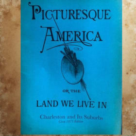 Serial Reprint :  Charleston and its Suburbs item