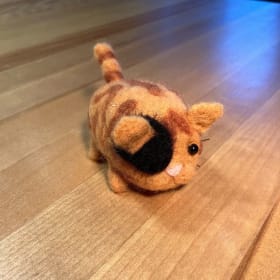 Chat-pirate (laine) item