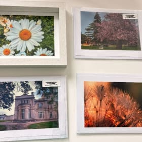 Artful Impressions Photo Set by Sylviasclicks item