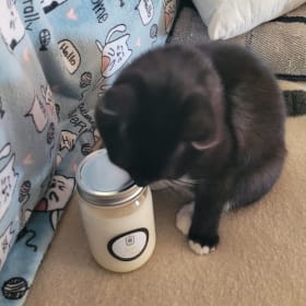 Lemon and Herbs Candle item