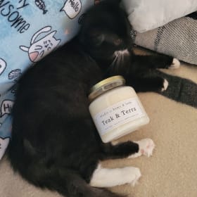 Teak and Terra Candle item