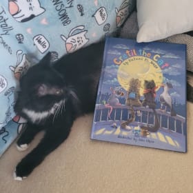 Signed Children'ss book Cretil the Cat item