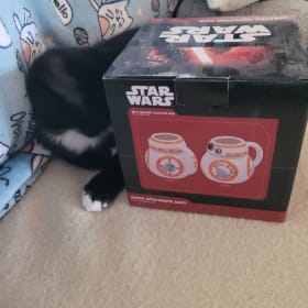 Star Wars Ceramic Mug item