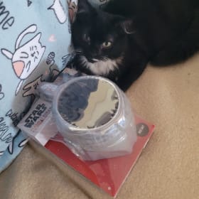 Star Wars Ceramic mug item