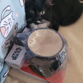 Star Wars Ceramic Mug item