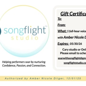 1-Hour Voice Lesson with Songflight Studio item