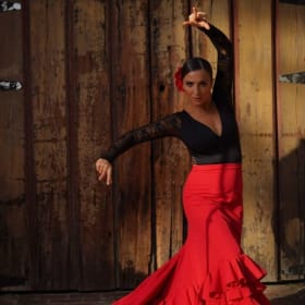 #75- Private Flamenco Dance Lesson item