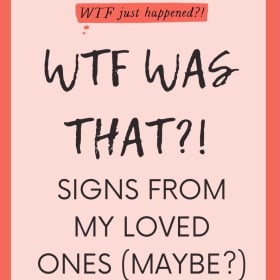 2 Journals from the WTF Just Happened?! Journals Series item