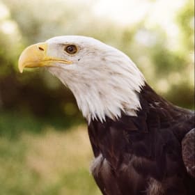 Unite with Nature item