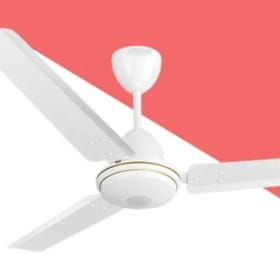 Ceiling Fans item