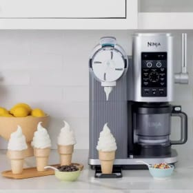 Ninja Swirl Ice Cream Maker item