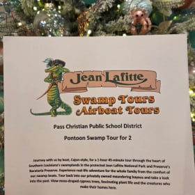 Jean Lafitte Swamp Tour item