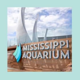 Mississippi Aquarium — Four Admission Tickets item